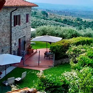Casa Della Noce Βίντσι
